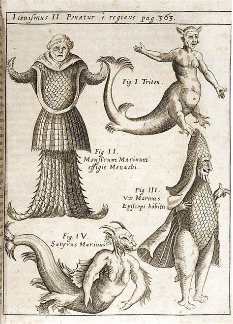 1662 Schott Sea Monsters And Mermaids Poster By Paul D Stewart Sea