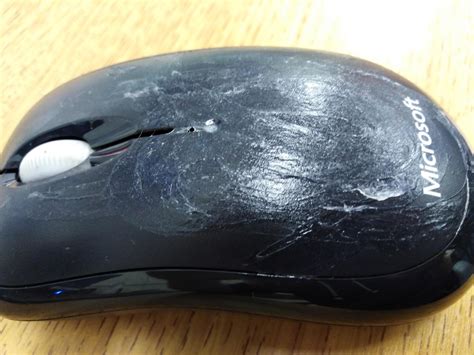 Kinda Cursed Mouse Rcursedimages