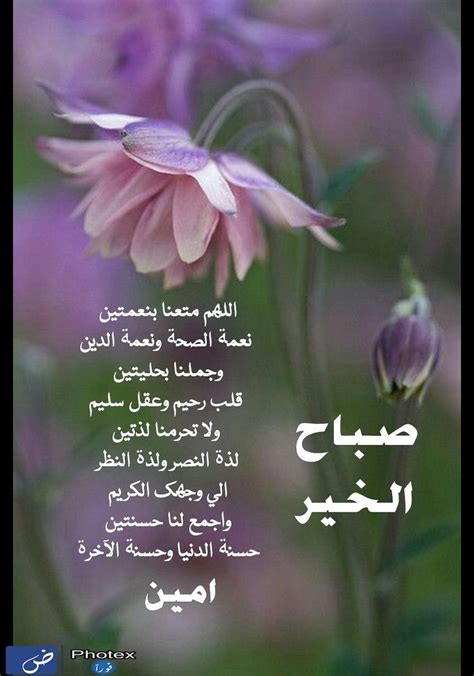 Pin By Hanan Allam On Hanan Good Morning Flowers Good Morning