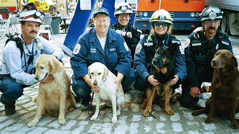 When Did The Last 911 Rescue Dog Die