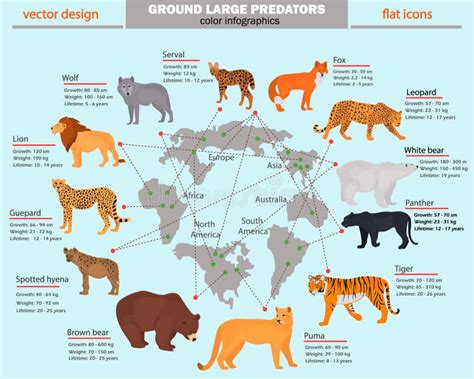 Wild Predators Their Habitat Growth Weight And Longevity Color
