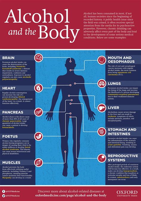 Alcohol and the Body Infographic