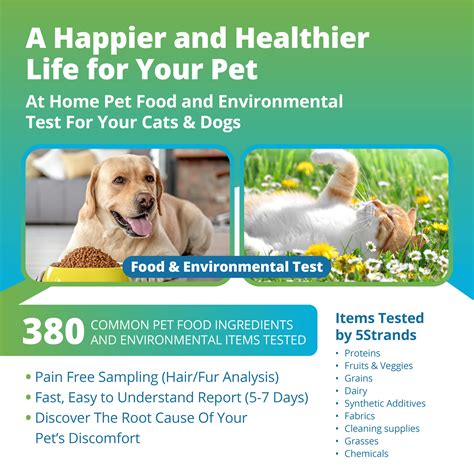 5strands Pet Food And Environmental Intolerance Test At Home Dog Or