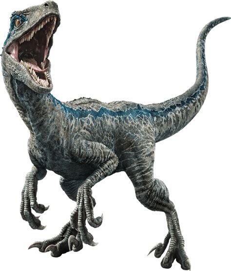 Fallen Kingdom Blue The Velociraptor V3 By Sonichedgehog2 Jurassic World Dinosaurs