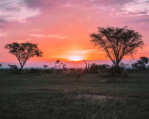 Uganda Itinerary How To Visit The Pearl Of Africa Artofit