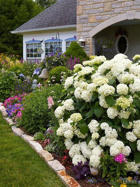 Most Hydrangeas Bloom From Midsummer To Fall Making Them Ideal