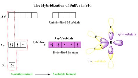 Sf4 Geometry And Hybridization Chemistry Steps