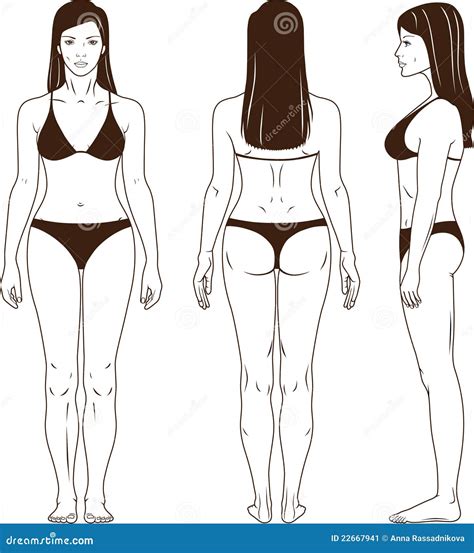 Naked Standing Woman Vector Sihouette CartoonDealer Com 22345898