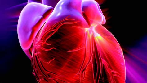 Les Maladies Cardio Vasculaires Pour La Science