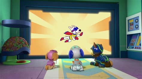 Apollo The Super Pupgallerypups Save The Paw Patroller Paw Patrol