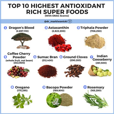 Dr Mark Iwanicki Top 10 Antioxidants On Earth