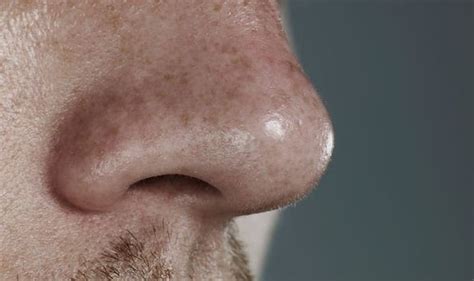 having a big nose means a bigger penis scientists say science news uk
