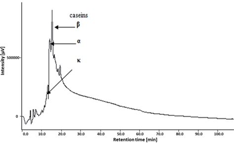 Reversed Phase High Performance Liquid Chromatography C18 Column Of