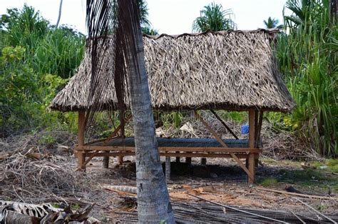 South Pacific Island Hut Stock Images Download 481 Royalty Free Photos