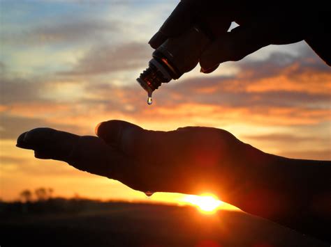 I once heard from a friend how she anoints with oil any hotel room that she stays at with her husband. Healing with Essential Oils with Meli and Nick Paul ...