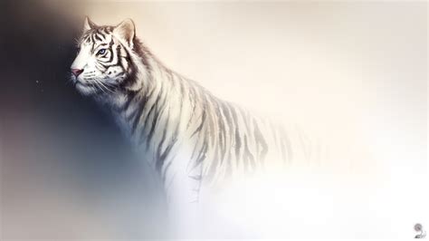 Tiger Fantasy Art Wallpapers Hd Desktop And Mobile Backgrounds