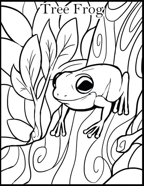 Red Eyed Tree Frog Coloring Page At Free Printable
