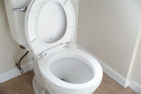 Toilet Wont Flush Know The Reasons And How To Fix It