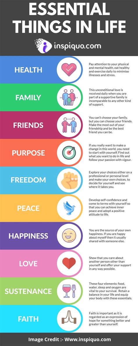 Essential Things In Life Infographic Infographic Life Life Quotes Riset