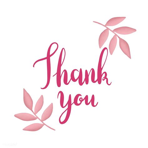 Pink Thank You Typography Vector Free Image By Thank