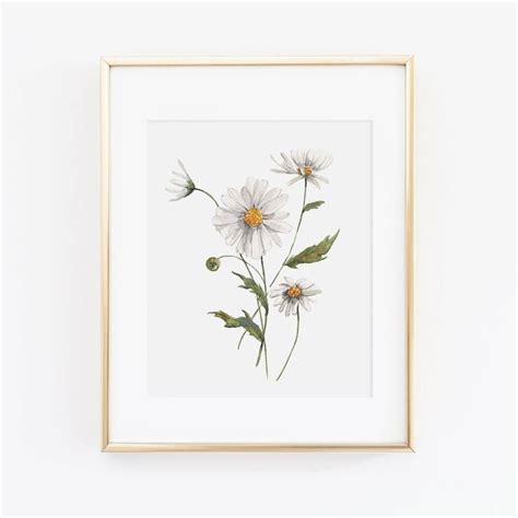 Wholesale Daisies Art Print Daisy Painting Watercolor Art Prints