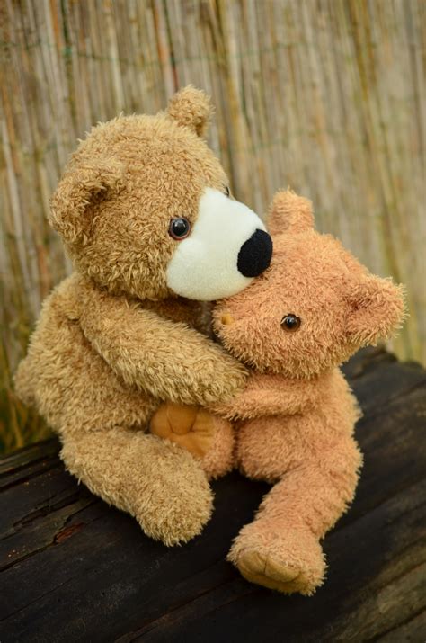 Free Images Sweet Love Friendship Teddy Bear Embrace Textile