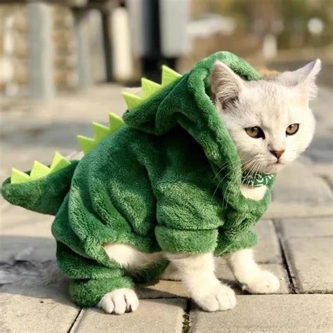 baju kucing dinosaurus