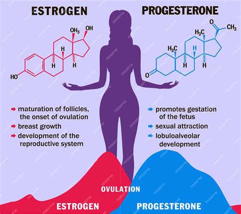 Premium Vector Estrogen And Progesterone In Balance Infographics Female Sex Hormones Molecule