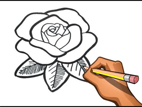 Como Dibujar Una Rosa Dibujo Facil Easy Rose Drawing Youtube