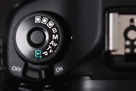 Camera Settings A Beginners Guide To Manual Mode — Fallon Travels