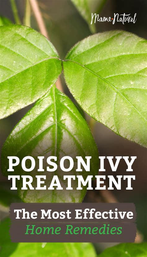 Poison Ivy Treatment All Natural Home Remedies Mama Natural
