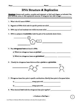 Dna processes dna replication protein synthesis dna transcription. DNA Structure and Replication Worksheet | Dna worksheet ...