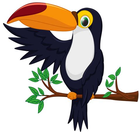 Jungle Clipart Toucan Jungle Toucan Transparent Free For Download On