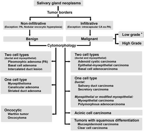 Cystic or solid, usually a mix of both. Afip Grading Of Mucoepidermoid Carcinoma - An Analysis Of ...
