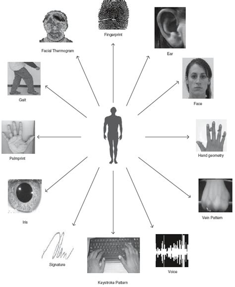 1 Example Of Human Characteristics That Can Be Used As Biometrics