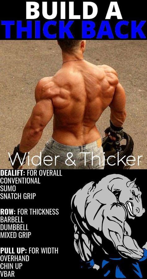 7 Best Back Workout Program Images In 2020 Workout Gym Workouts