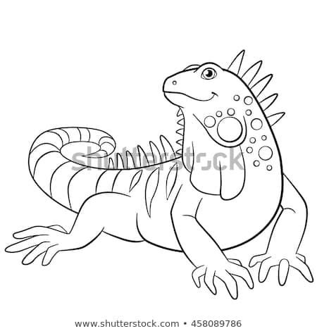 Learn about marine iguana adaptations with free interactive flashcards. Cute Iguana Coloring Pages | Coloring pages, Cartoon ...