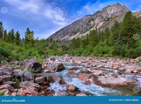 Small Mountain River In Siberia Stock Image Image Of Mountain Cedar