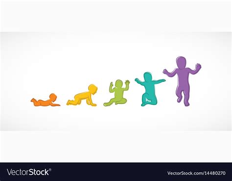 Baby Development Stages Milestones First One Year Vector Image