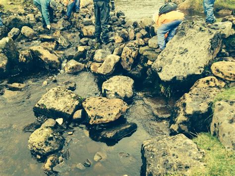 Oulton Primary School On Twitter A Great Time Building Dams At Gaping