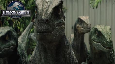 Jurassic World Best Raptor Moments Youtube