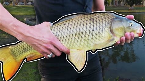 Fishing My Favorite Lake! - YouTube