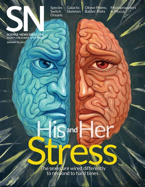 Science News — His And Her Stress — Justine Hirshfeld