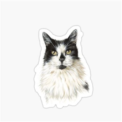 Stickers Smudge Cat Meme Smudge The Cat Table Cat Funny Memes