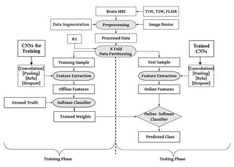 Local System Architecture For Training And Testing Of Pre Trained CNNs Download Scientific
