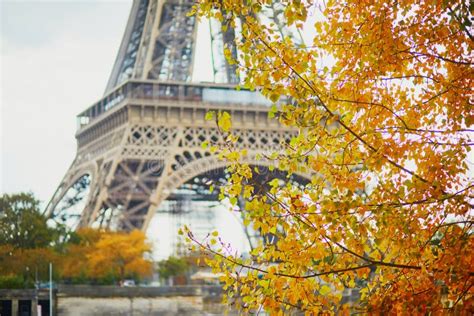 Scenic View Of The Eiffel Tower With Yellow Autumn Leaves Stock Image