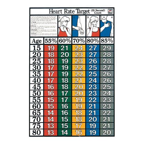 10 Second Heart Rate Chart Laminated Chirosupply