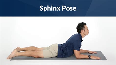 Sphinx Pose For Core Strength Youtube