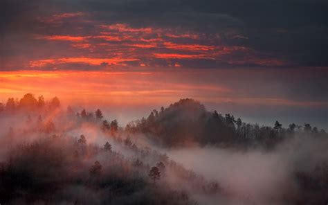 Nature Landscape Mist Sunrise Mountain Forest Sky