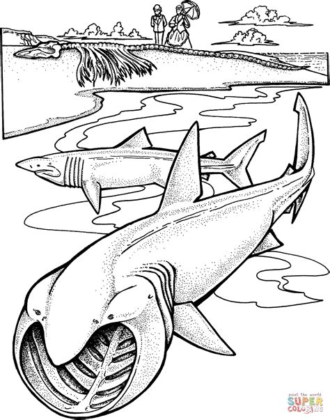 Two Basking Sharks Coloring Page From Basking Shark Category Select